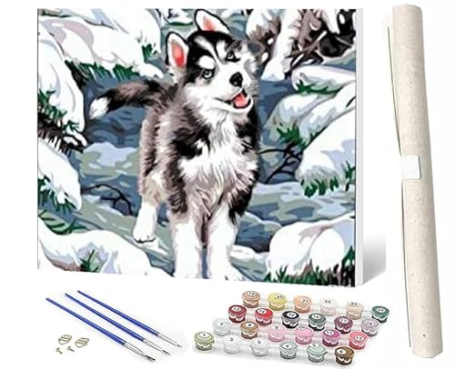 WMZPOY Malen Nach Zahlen Erwachsene DIY Handgemalt Ölgemälde Kit für Erwachsene und Anfänger, Paint by Numbers Tiere Schneewolf Home Haus Deko 40 x 50 cm von WMZPOY