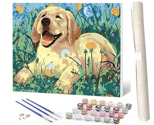 WMZPOY Malen Nach Zahlen Erwachsene DIY Handgemalt Ölgemälde Kit für Erwachsene und Anfänger, Paint by Numbers Tiere Welpe Home Haus Deko 40 x 50 cm von WMZPOY