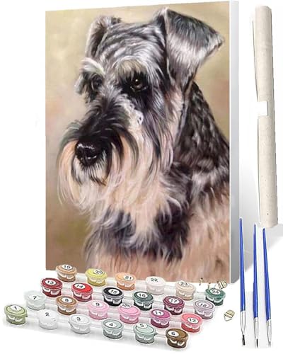 WMZPOY Malen Nach Zahlen Erwachsene DIY Handgemalt Ölgemälde Kit für Erwachsene und Anfänger, Paint by Numbers Tiere Yorkshire Terrier_003 Home Haus Deko 40 x 50 cm von WMZPOY