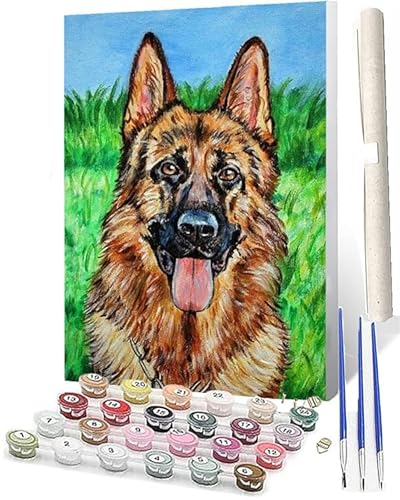 WMZPOY Malen Nach Zahlen ErwachseneDiy Malen Nach Zahlen Im Alter Von 8 Bis 12 JahrenGeeignet FüR öLmalanfäNger Hund 008 Als Festival Geschenk (40x 50cm) von WMZPOY