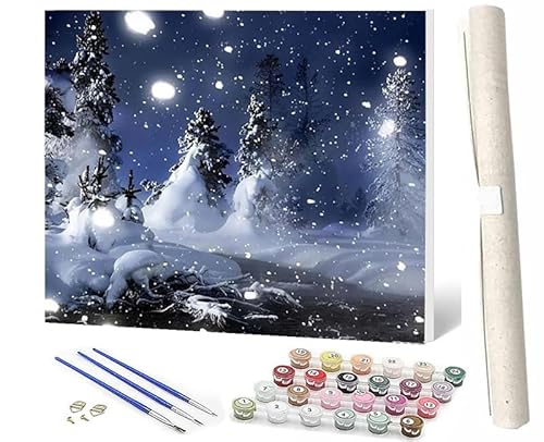 WMZPOY Malen Nach Zahlen ErwachseneMalen Nach Zahlen Mit Pinseln und Acrylfarbe Snowy Lake Bridge House 1 DIY Set Basteln Erwachsene mit Pinseln und Acrylfarben für Home Decor40x50cm von WMZPOY