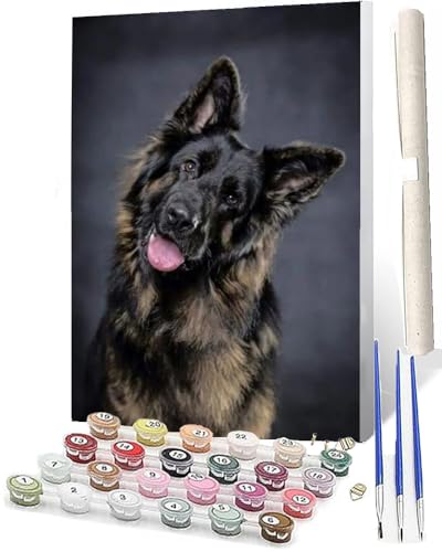 WMZPOY Malen Nach Zahlen ErwachseneMalen Nach Zahlen Mit Pinseln und Acrylfarbe Tier Deutscher Schäferhund-2 DIY Set Basteln Erwachsene mit Pinseln und Acrylfarben für Home Decor40x50cm von WMZPOY