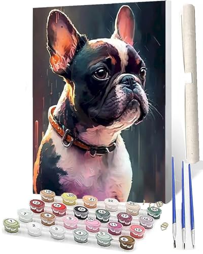 WMZPOY Malen Nach Zahlen Französische Bulldogge DIY Ölmalerei Bastelset für Anfänger und Inklusive Knitterfreie LeinwandAcrylfarben und 3 PinselGeschenke und Home Haus Deko-40x50 von WMZPOY