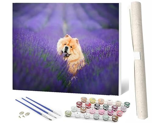 WMZPOY Malen Nach Zahlen Lavendelblütentier Hund 039 DIY Ölmalerei Bastelset für Anfänger und Inklusive Knitterfreie LeinwandAcrylfarben und 3 PinselGeschenke und Home Haus Deko-40x50 von WMZPOY