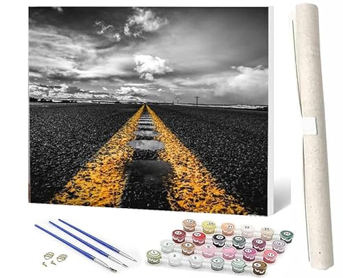 WMZPOY Malen nach Zahlen Erwachsene DIY Malen nach Zahlen Set ohne Rahmen inklusive Pinsel und Acrylfarben Autobahn DIY für Home Wall Decor 40 x 50cm Rahmenlos von WMZPOY