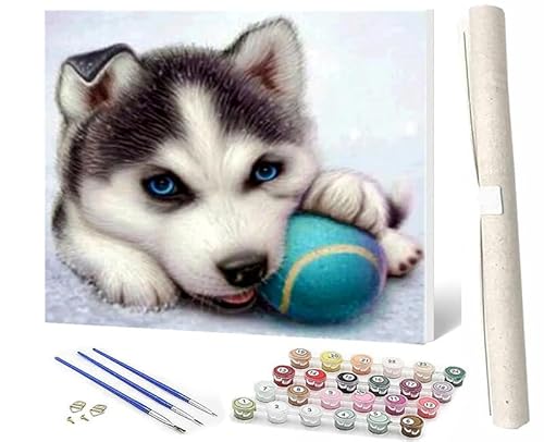 WMZPOY Malen nach Zahlen Erwachsene DIY Malen nach Zahlen Set ohne Rahmen inklusive Pinsel und Acrylfarben Husky 2 DIY für Home Wall Decor 40 x 50cm Rahmenlos von WMZPOY