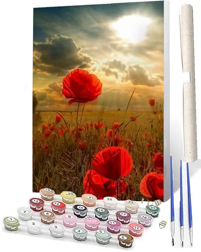 WMZPOY Malen nach Zahlen Erwachsene DIY Malen nach Zahlen Set ohne Rahmen inklusive Pinsel und Acrylfarben Rosenfeld-Sonnenuntergang DIY für Home Wall Decor 40 x 50cm Rahmenlos von WMZPOY