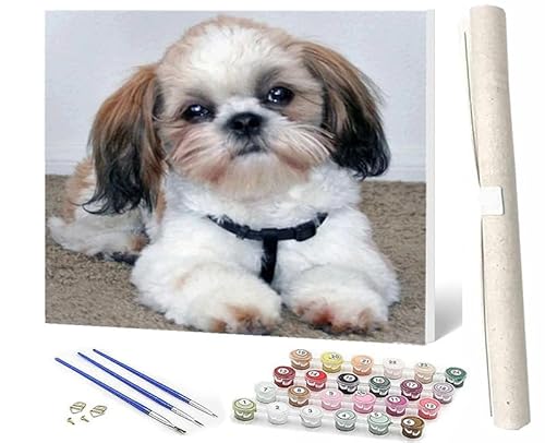 WMZPOY Malen nach Zahlen Erwachsene DIY Malen nach Zahlen Set ohne Rahmen inklusive Pinsel und Acrylfarben Tier Malteser Hund 4 DIY für Home Wall Decor 40 x 50cm Rahmenlos von WMZPOY