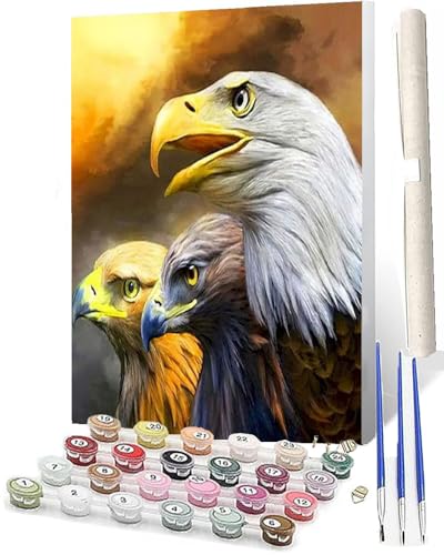 WMZPOY Malen nach Zahlen Erwachsene DIY Malen nach Zahlen Set ohne Rahmen inklusive Pinsel und Acrylfarben drei Adler DIY für Home Wall Decor 40 x 50cm Rahmenlos von WMZPOY