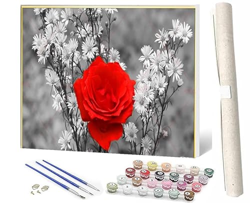 WMZPOY Malen nach Zahlen Erwachsene DIY Malen nach Zahlen Set ohne Rahmen inklusive Pinsel und Acrylfarben rote Rose DIY für Home Wall Decor 40 x 50cm Rahmenlos von WMZPOY