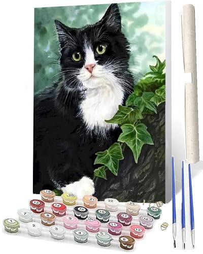 WMZPOY Malen nach Zahlen Erwachsene schwarze Katze-2 Der mit Farbige Berührung Digitale Malerei Malen nach Zahlen Kits für Erwachsene Malerei Kunsthandwerk 16x20 von WMZPOY