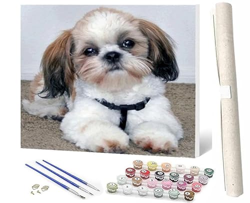 WMZPOY Malen nach Zahlen Kits für Erwachsene und Shih Tzu DIY Ölgemälde digital auf Leinwand Wandkunst Dekoration Geschenk 40,6 x 50,8 cm von WMZPOY