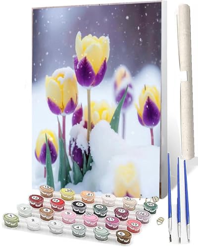 WMZPOY Malen nach Zahlen Kits für Erwachsene und Tulpe_021 DIY Ölgemälde digital auf Leinwand Wandkunst Dekoration Geschenk 40,6 x 50,8 cm von WMZPOY