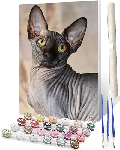 WMZPOY Tiere Malen nach Zahlen für Erwachsene -Handmalerei DIY abstrakte Erwachsene Malen nach Zahlen Kits auf Leinwand mit Pinseln Kunsthandwerk für Zuhause 40 x 50 cm(rahmenlos) Sphynx-Katze 12 von WMZPOY