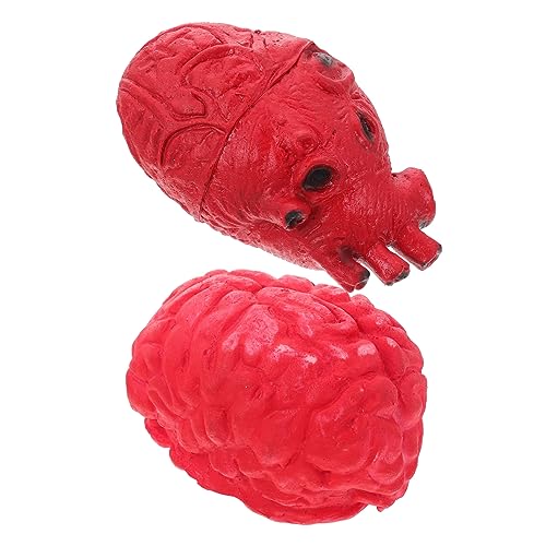 WOONEKY 2st Blutige Körperstützen Halloween-trick Süßes Oder Saures Orgelmodell Halloween Gefälschte Gehirne Falsches Gehirn Gefälschtes Menschliches Organ Tischdekoration Pp Baumwolle Rot von WOONEKY