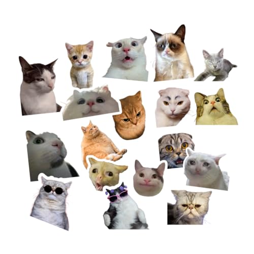 Katzen Meme Sticker Set, 18 Stück, Lustige Meme Aufkleber Aesthetic - Wasserfeste Vinyl Aufkleber - Aufkleber für Autos, LKWs, Vans, SUVs, Wände, Fenster, Laptops und Notizbücher von WORKIRAN