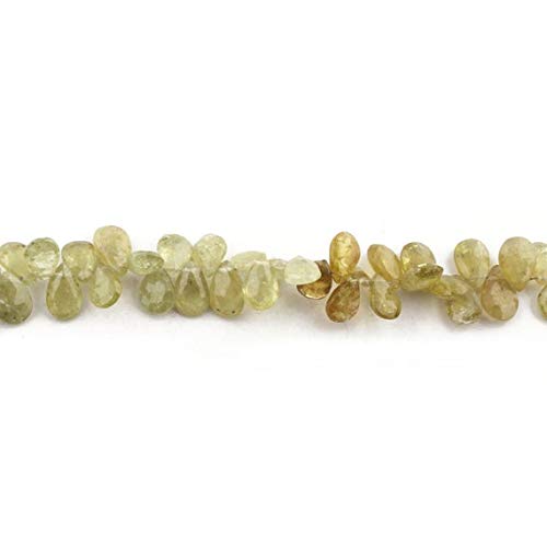 BEADS GEMSTONE 1 Strand Natural Prehnite Faceted Pear Shape Perlen Briolettes - Prehnite Briolettes 8mmx6mm-11mmx6mm 8 Zoll Code-HIGH-14083, Edelstein Metall Stein von WORLD WIDE GEMS