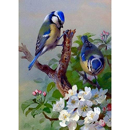 5D Diamond Painting Diamant Malerei Painting Bilder, Wowdecor Blau Kardinäle Vögel Blumen Full Set Groß DIY Diamant Gemälde Malen Nach Zahlen von WOWDECOR