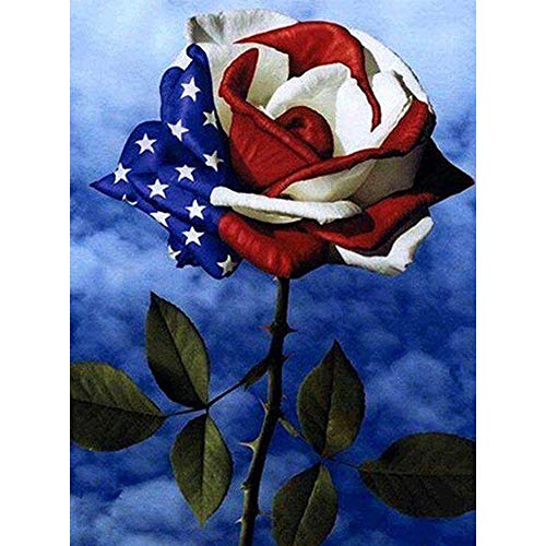 5D Diamond Painting Diamant Malerei Painting Bilder, Wowdecor Bunt Rose Amerikanische Flagge Full Set Groß DIY Diamant Gemälde Malen Nach Zahlen von WOWDECOR