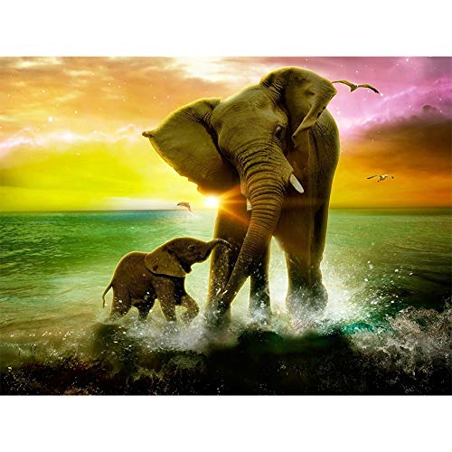 5D Diamond Painting Diamant Malerei Painting Bilder, Wowdecor Elefant Baby Tiere Meer Bunt Wolken Full Set Groß DIY Diamant Gemälde Malen Nach Zahlen von WOWDECOR