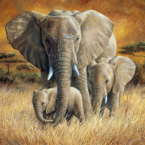 5D Diamond Painting Diamant Malerei Painting Bilder, Wowdecor Elefant Familie Tiere Wild Full Set Groß DIY Diamant Gemälde Malen Nach Zahlen von WOWDECOR