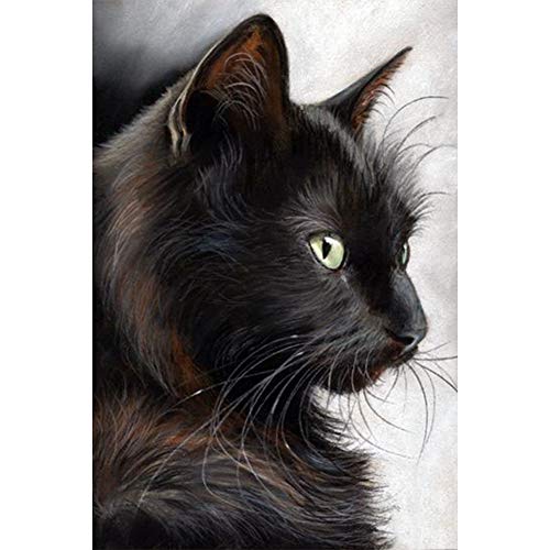 5D Diamond Painting Diamant Malerei Painting Bilder, Wowdecor Fette schwarze Katze Full Set Groß DIY Diamant Gemälde Malen Nach Zahlen von WOWDECOR