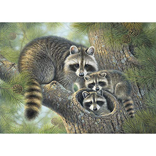 5D Diamond Painting Diamant Malerei Painting Bilder, Wowdecor Grau Waschbär Familie Baum Tiere Full Set Groß DIY Diamant Gemälde Malen Nach Zahlen von WOWDECOR