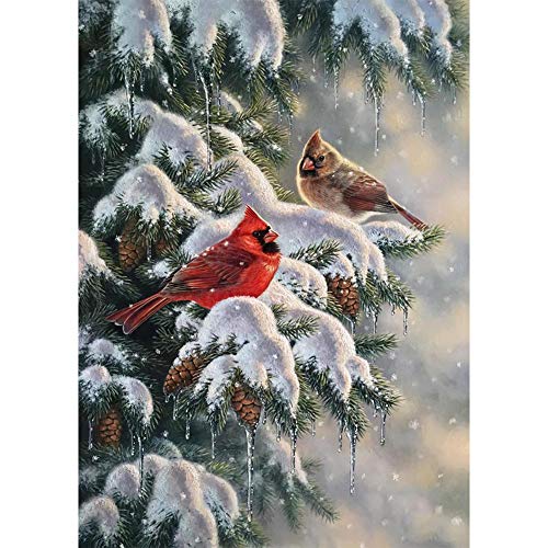 5D Diamond Painting Diamant Malerei Painting Bilder, Wowdecor Kardinäle Vögel Winter Schnee Landschaft Full Set Groß DIY Diamant Gemälde Malen Nach Zahlen von WOWDECOR