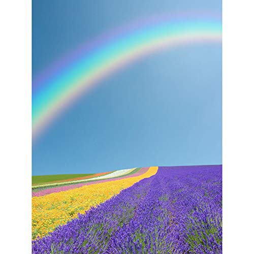 5D Diamond Painting Diamant Malerei Painting Bilder, Wowdecor Regenbogen Blume Lavendel Full Set Groß DIY Diamant Gemälde Malen Nach Zahlen von WOWDECOR