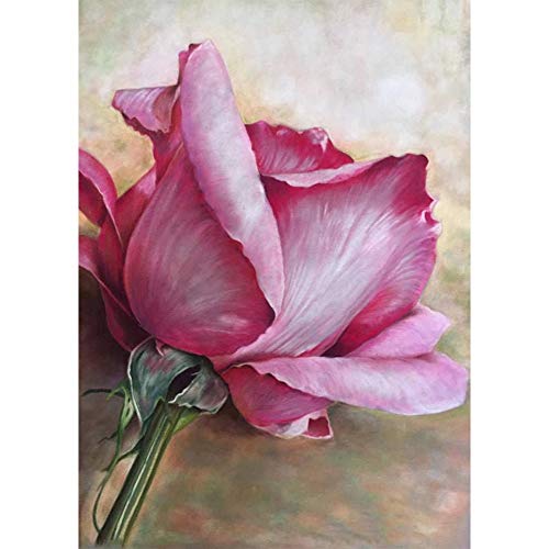 5D Diamond Painting Diamant Malerei Painting Bilder, Wowdecor Rosa Rose Blumen Full Set Groß DIY Diamant Gemälde Malen Nach Zahlen von WOWDECOR