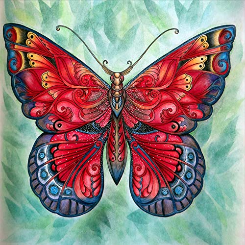 5D Diamond Painting Diamant Malerei Painting Bilder, Wowdecor Schön Rot Schmetterling Tiere Full Set Groß DIY Diamant Gemälde Malen Nach Zahlen von WOWDECOR