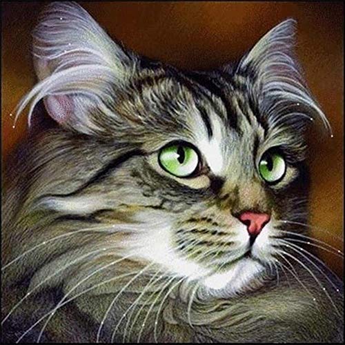 5D Diamond Painting Diamant Malerei Painting Bilder, Wowdecor Schöne Graue Katze Tiere Full Set Groß DIY Diamant Gemälde Malen Nach Zahlen von WOWDECOR