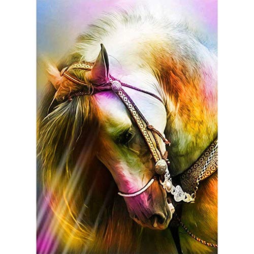 5D Diamond Painting Diamant Malerei Painting Bilder, Wowdecor Schönes Weiß Pferd Tiere Full Set Groß DIY Diamant Gemälde Malen Nach Zahlen von WOWDECOR