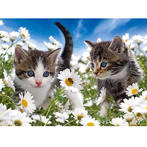 5D Diamond Painting Diamant Malerei Painting Bilder, Wowdecor Süß Katze Weiß Blumen Tiere Full Set Groß DIY Diamant Gemälde Malen Nach Zahlen von WOWDECOR