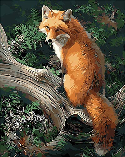 WOWDECOR DIY Malen nach Zahlen für Erwachsene Kinder Mädchen, Fox auf dem Baum 40x50cm Vorgedruckt Leinwand-Ölgemälde (mit Rahmen) von WOWDECOR