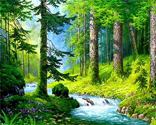 WOWDECOR DIY Malen nach Zahlen für Erwachsene Kinder Mädchen, Wald Grün Bäume Strom Landschaft 40x50cm Vorgedruckt Leinwand-Ölgemälde (ohne Rahmen) von WOWDECOR