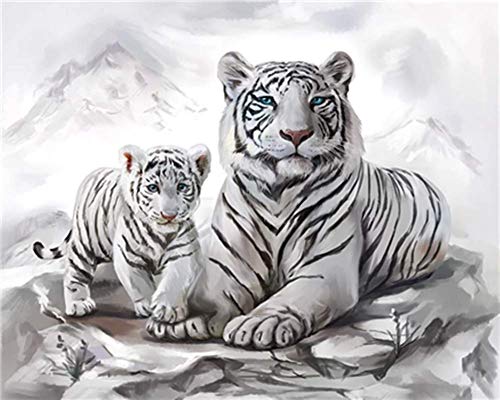 WOWDECOR DIY Malen nach Zahlen für Erwachsene Kinder Mädchen, Weiß Tiger Familie Tiere 40x50cm Vorgedruckt Leinwand-Ölgemälde (ohne Rahmen) von WOWDECOR