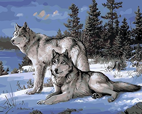 WOWDECOR DIY Malen nach Zahlen für Erwachsene Kinder Mädchen, Zwei Schneewolf Tiere Schneeszene 40x50cm Vorgedruckt Leinwand-Ölgemälde (ohne Rahmen) von WOWDECOR