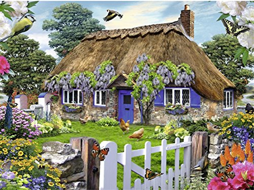 Wowdecor DIY Malen nach Zahlen Kits Geschenk für Erwachsene Kinder, Malen nach Zahlen Home Haus Dekor - Blumen Garten Adler Vögel Schmetterling Hahn Landschaft 40 x 50 cm Rahmen von WOWDECOR