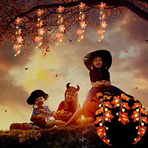 WOXIHUAN Herbst Lichterkette Ahornblätter Halloween Lichterkette Batterie für Außen Innen Batteriebetrieben Lichter LED Laterne Herbst Dekoration Thanksgiving Halloween Deko Garten Lichterketten von WOXIHUAN