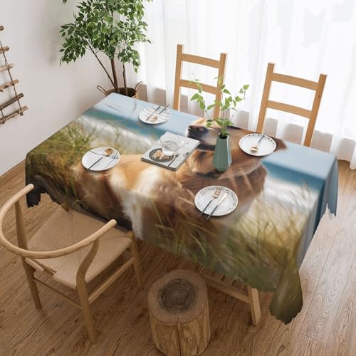 WPUTY Rechteckige Tischdecke mit dekorativem Spitzenrand, Motiv: Golden Retriever am Strand, 183 x 137 cm, waschbarer Stoff, Bauernhaus-Tischdecke für Esszimmer, Bankette und Hochzeiten von WPUTY