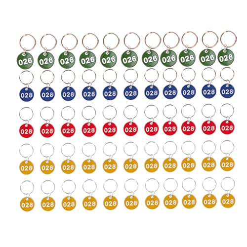 WRITWAA 1 Satz Etiketten Für Schlüsselanhänger Nummerschild Schlüsselanhänger Seat Zahlen Id-tags Gepäck-id-tags Nummerierte Tags 1-50 Nummernschilder Aus Metall Kennzeichen Blue 50 Stück von WRITWAA