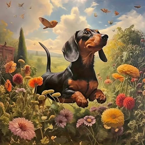 WSLWXSHM Diamond Painting Erwachsene Set Dachshund, Hund 5D DIY Diamond Art Kits for Beginners Round Full Drill Diamond Painting for Home Wall Decoration Gift 30×30cm, Tier von WSLWXSHM