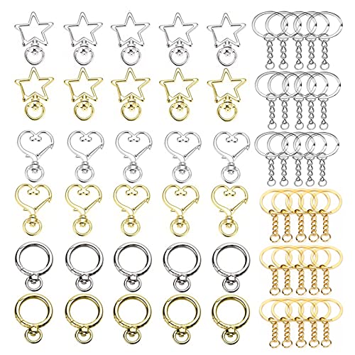 WTpin 60 Stück Schlüsselring mit Kette Set, Golden Schlüsselringe mit kette, Schlüsselanhänger DIY, Schlüsselanhänger Selber Machen, Für DIY Schmuckverschluss Schlüsselringe (Gold und Silber) von WTpin