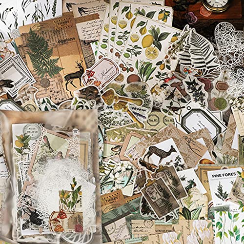 260 Stück Sticker Set Vintage Washi Aufkleber Selbstklebend Scrapbooking Sticker Aesthetic Cute Sticker Retro Dekorativ Sticker für DIY Scrapbook Kalender Notizbuch Zubehör Tagebuch - Bergzitate von WUERKIYA