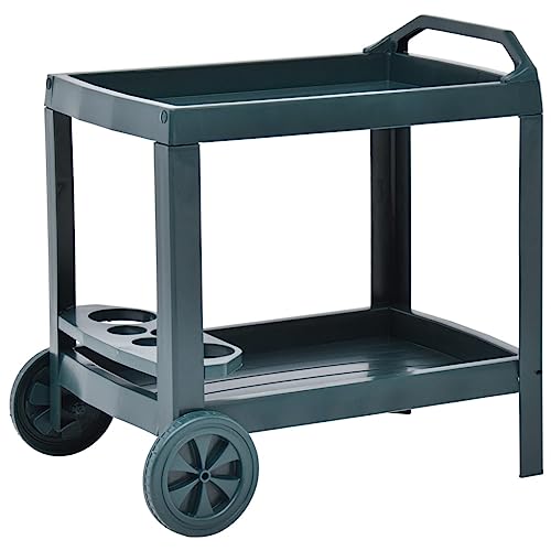 WWWASASA Trolleys-Getränkewagen Grün 69x53x72 cm Kunststoff-Möbel von WWWASASA