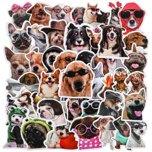 100 Stück Lustige Hunde-Aufkleber, Süße Tier Sticker Set Niedliche Aufkleber für Laptop Skateboard Fahrrad Gepäck Kühlschrank Auto Motorrad Gitarre Sammelalbum Telefon Wasserflaschen von WY LIGHTING LEVEL