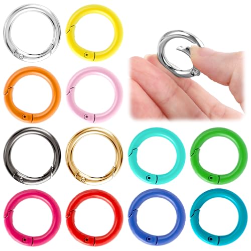 12 Stück Metall Feder-O-Ringe, Farbige Runde Ringe Federstahlringe Kleine O-Ringe mit Schnappfeder Karabiner Ring für Schultasche Geldbörse Rucksäcken Handtaschen Schlüsselanhänger Dekoration von WY LIGHTING LEVEL