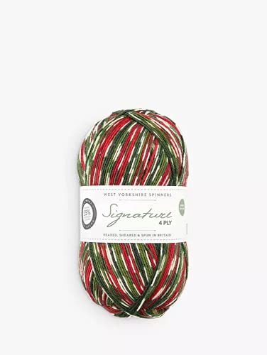 WYS Bluefaced Leicester Wolle "Signature 4ply" sock yarn 886-holly berry, 100g Wolle, Sockenwolle musterbildend mit blue faced leicester wool von WYS