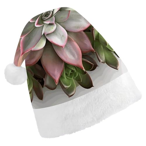 WYUSPGK Weihnachtsmütze, Sukkulenten, botanischer Druck, Weihnachtsmütze mit Plüschbesatz, weihnachtliches Outfit, festliche Nikolausmütze von WYUSPGK